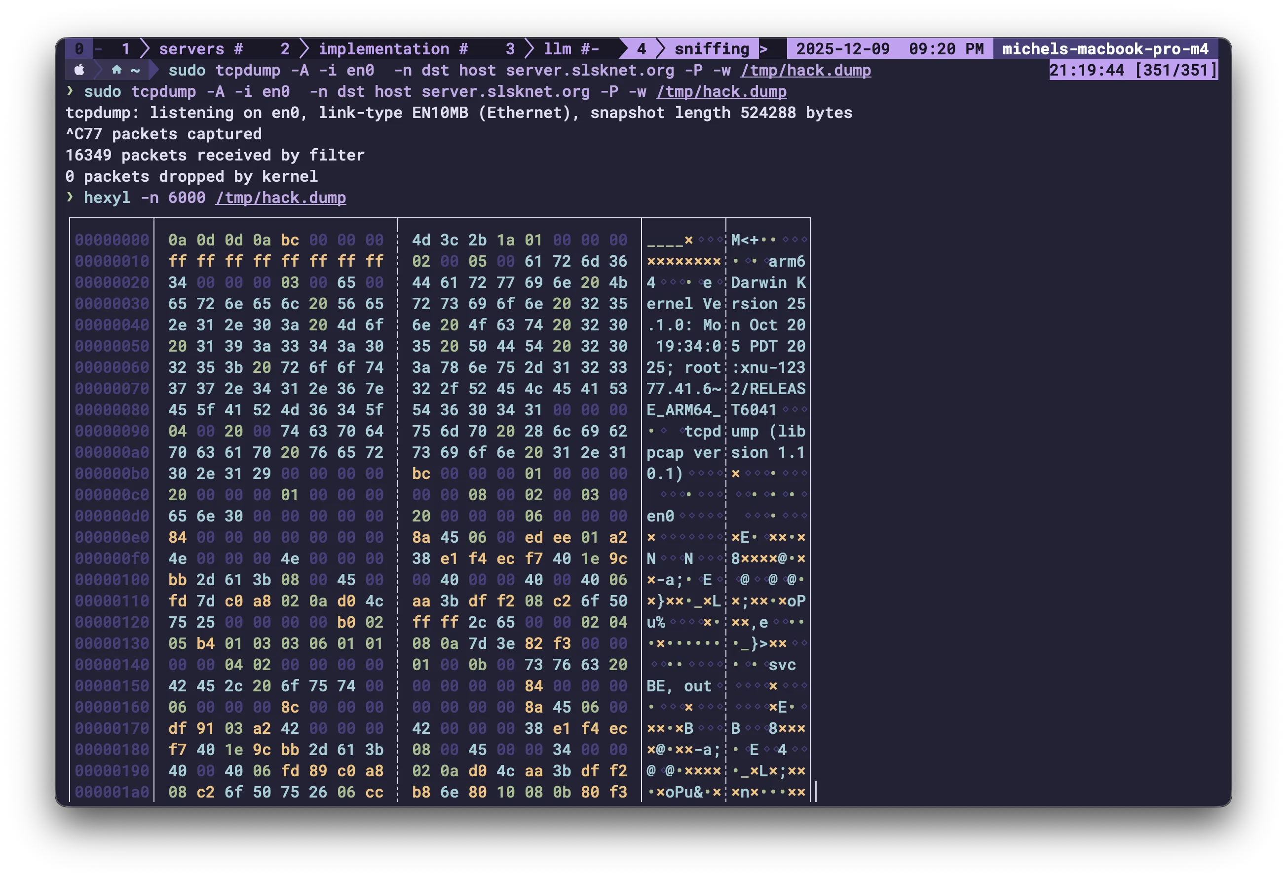 tcpdump and hexyl packet analysis